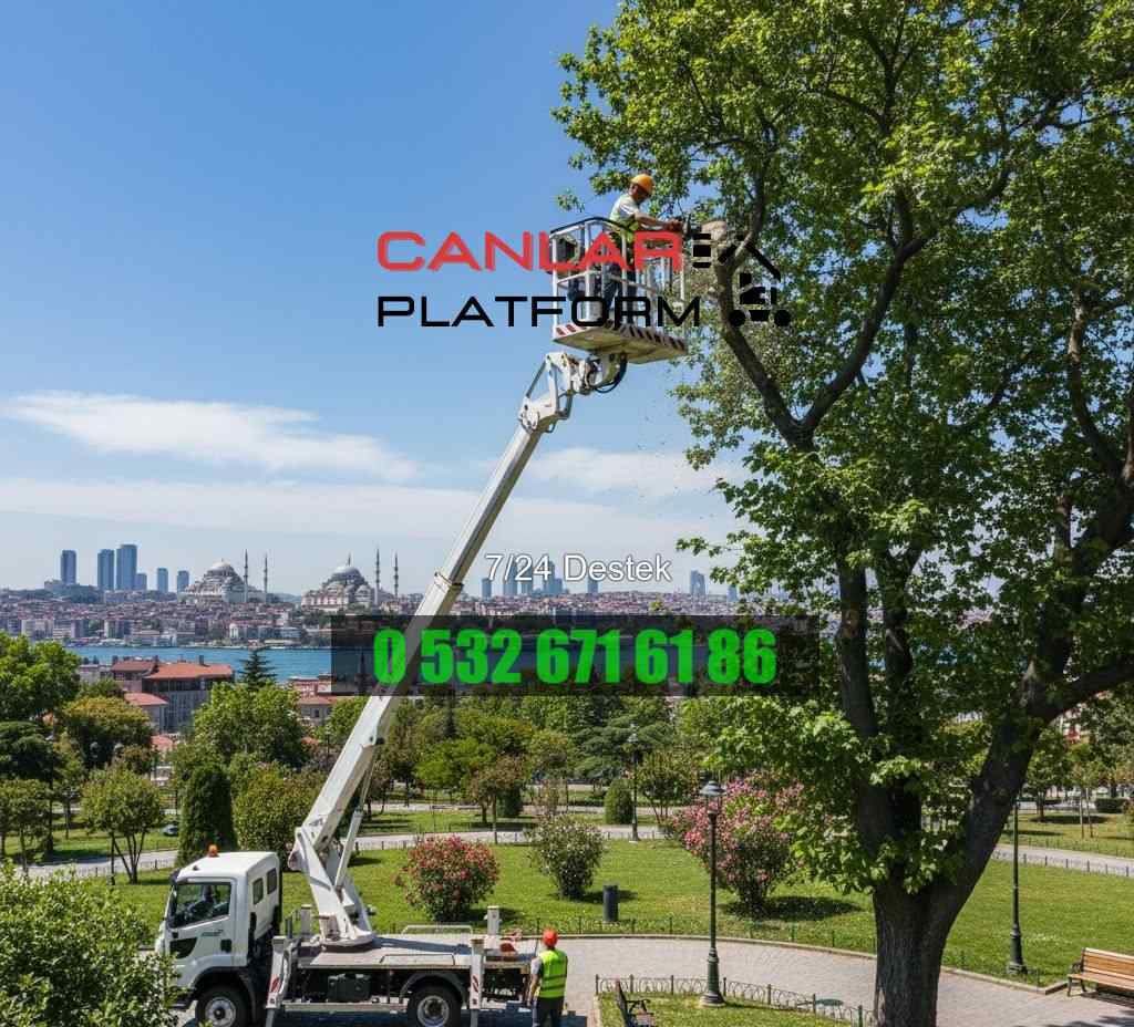 Kartaltepe kiralık vinç hizmetleri: Canlar Platform