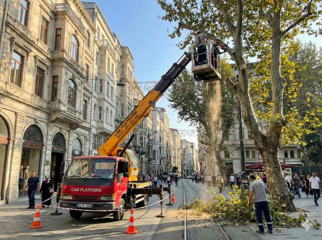 Halıcıoğlu vinç hizmetleri: Canlar Platform
