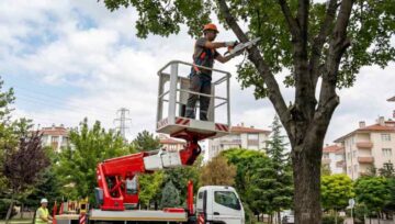 Sepetli Vinç ile Güvenli Ağaç Budama Teknikleri